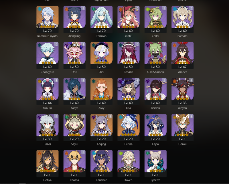 [America] AR58 - Diluc, Yoimiya, Itto, Xiao, Cyno, Wanderer, Ayato, Qiqi, Furina, Dehya, Kazuha(C1), Keqing(C1), Raiden Shogun(C2)[Dead:a]